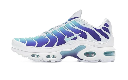 NIKE Air Max Plus TN SE BLEACHED AQUA